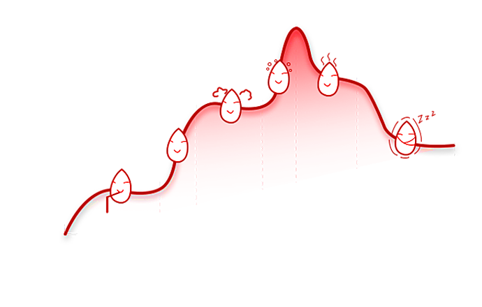 必发365(中国)兴趣网投天天必发